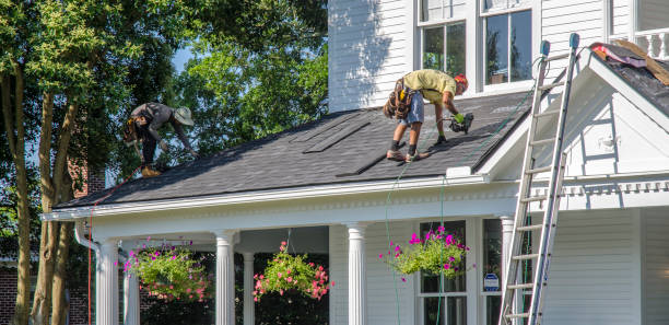 Professional Roofing Contractor in Newcastle, CA